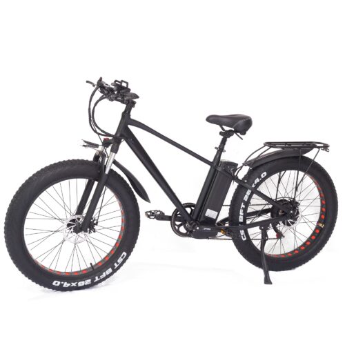 26 Zoll  E-Bike Fatbike 750 W, 45 km/h – 80 km Reichweite